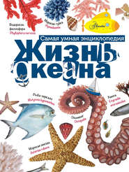 бесплатно читать книгу Жизнь океана автора Александр Тихонов