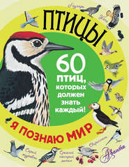 бесплатно читать книгу Птицы. 60 птиц, которых должен знать каждый автора  Сборник