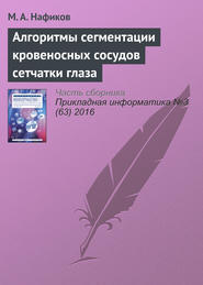 бесплатно читать книгу Алгоритмы сегментации кровеносных сосудов сетчатки глаза автора М. Нафиков