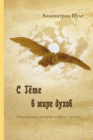 бесплатно читать книгу C Гёте в мире духов автора Аннекатрин Пуле
