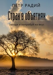 бесплатно читать книгу Страх в объятиях автора Пётр Радий