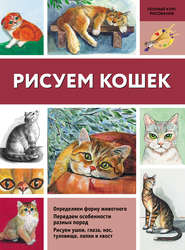 бесплатно читать книгу Рисуем кошек автора Нина Щербакова