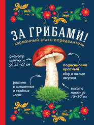 бесплатно читать книгу За грибами. Карманный атлас-определитель автора Татьяна Ильина