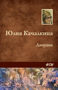 бесплатно читать книгу Дворник автора Юлия Качалкина