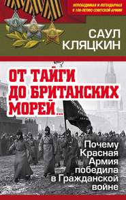 бесплатно читать книгу «От тайги до британских морей…»: Почему Красная Армия победила в Гражданской войне автора Саул Кляцкин
