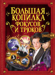 бесплатно читать книгу Большая копилка фокусов и трюков автора Анастасия Лаворенко