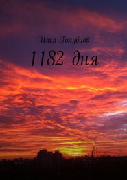 бесплатно читать книгу 1182 дня автора Илья Голубцов