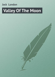 бесплатно читать книгу Valley Of The Moon автора Jack London