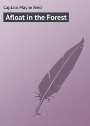 бесплатно читать книгу Afloat in the Forest автора Captain Mayne