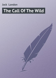 бесплатно читать книгу The Call of the Wild автора Jack London