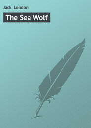 бесплатно читать книгу The Sea Wolf автора Jack London