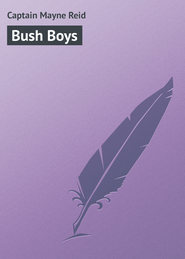 бесплатно читать книгу Bush Boys автора Captain Mayne