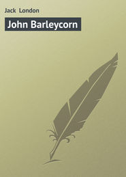 бесплатно читать книгу John Barleycorn автора Jack London
