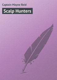 бесплатно читать книгу Scalp Hunters автора Captain Mayne