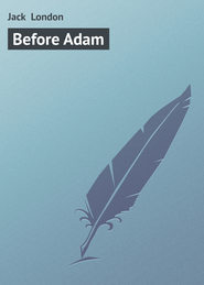 бесплатно читать книгу Before Adam автора Jack London
