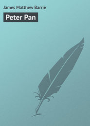 бесплатно читать книгу Peter Pan автора James Matthew