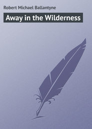 бесплатно читать книгу Away in the Wilderness автора Robert Michael