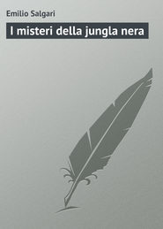 бесплатно читать книгу I misteri della jungla nera автора Emilio Salgari