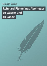 бесплатно читать книгу Reinhard Flemmings Abenteuer zu Wasser und zu Lande автора Heinrich Seidel