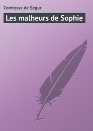 бесплатно читать книгу Les malheurs de Sophie автора Comtesse De