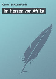 бесплатно читать книгу Im Herzen von Afrika автора Georg Schweinfurth