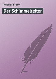 бесплатно читать книгу Der Schimmelreiter автора Theodor Storm