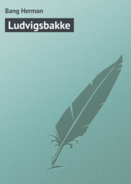 бесплатно читать книгу Ludvigsbakke автора Bang Herman