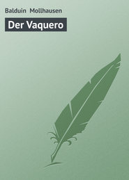 бесплатно читать книгу Der Vaquero автора Balduin Mollhausen