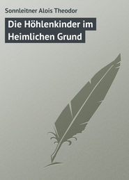 бесплатно читать книгу Die H?hlenkinder im Heimlichen Grund автора Sonnleitner Alois