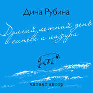 бесплатно читать книгу Долгий летний день в синеве и лазури автора Дина Рубина
