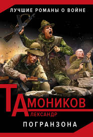 бесплатно читать книгу Погранзона автора Александр Тамоников