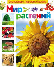 бесплатно читать книгу Мир растений автора Лариса Иванова