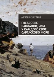 бесплатно читать книгу Гнездовье бакланов, или У каждого свое Саргассово море автора Александр Котюсов