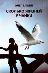 бесплатно читать книгу Сколько жизней у Чайки автора Олег Ёлшин