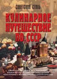 бесплатно читать книгу Кулинарное путешествие по СССР автора Татьяна Ивашкова