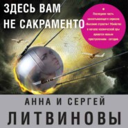 бесплатно читать книгу Здесь вам не Сакраменто автора Анна и Сергей Литвиновы