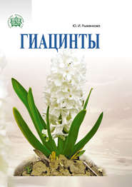 бесплатно читать книгу Гиацинты автора Юлия Рыженкова