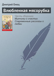 бесплатно читать книгу Влюбленная мясорубка автора Дмитрий Емец