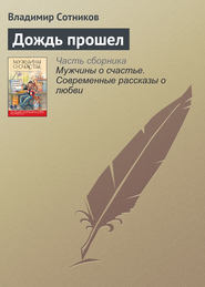 бесплатно читать книгу Дождь прошел автора Владимир Сотников
