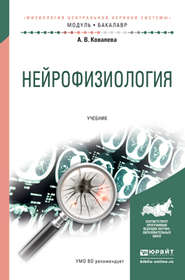 бесплатно читать книгу Нейрофизиология. Учебник для академического бакалавриата автора Анастасия Ковалева