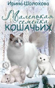 бесплатно читать книгу Маленькая семейка кошачьих автора Ирина Шолохова