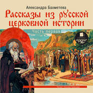 бесплатно читать книгу Рассказы из русской церковной истории. (часть первая) автора А. Бахметева