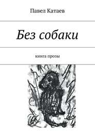 бесплатно читать книгу Без собаки. Книга прозы автора Павел Катаев