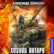 бесплатно читать книгу Хозяин Янтаря автора Александр Шакилов