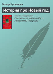 бесплатно читать книгу История про Новый год автора Жанар Кусаинова
