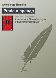 бесплатно читать книгу Prada и правда автора Александр Цыпкин