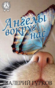 бесплатно читать книгу Ангелы вокруг нас автора Валерий Гурков