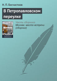 бесплатно читать книгу В Петропавловском переулке автора Николай Бесчастнов
