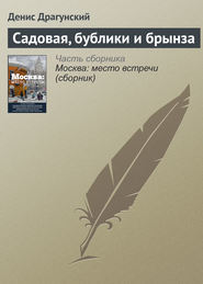 бесплатно читать книгу Садовая, бублики и брынза автора Денис Драгунский