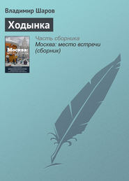 бесплатно читать книгу Ходынка автора Владимир Шаров